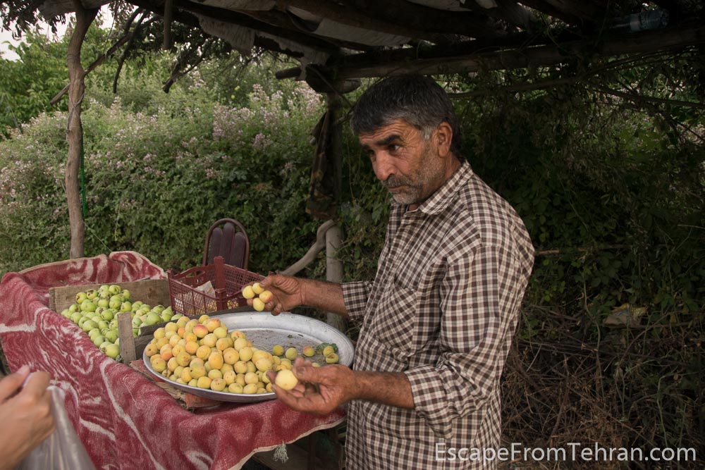 “Here, can you make this?” Morad Mohammadi of the village of Kakareza responded, holding up an apricot with the tip of his fingers. “This comes out of a stick. We just water it and this beautiful soft delicious thing comes out of it.