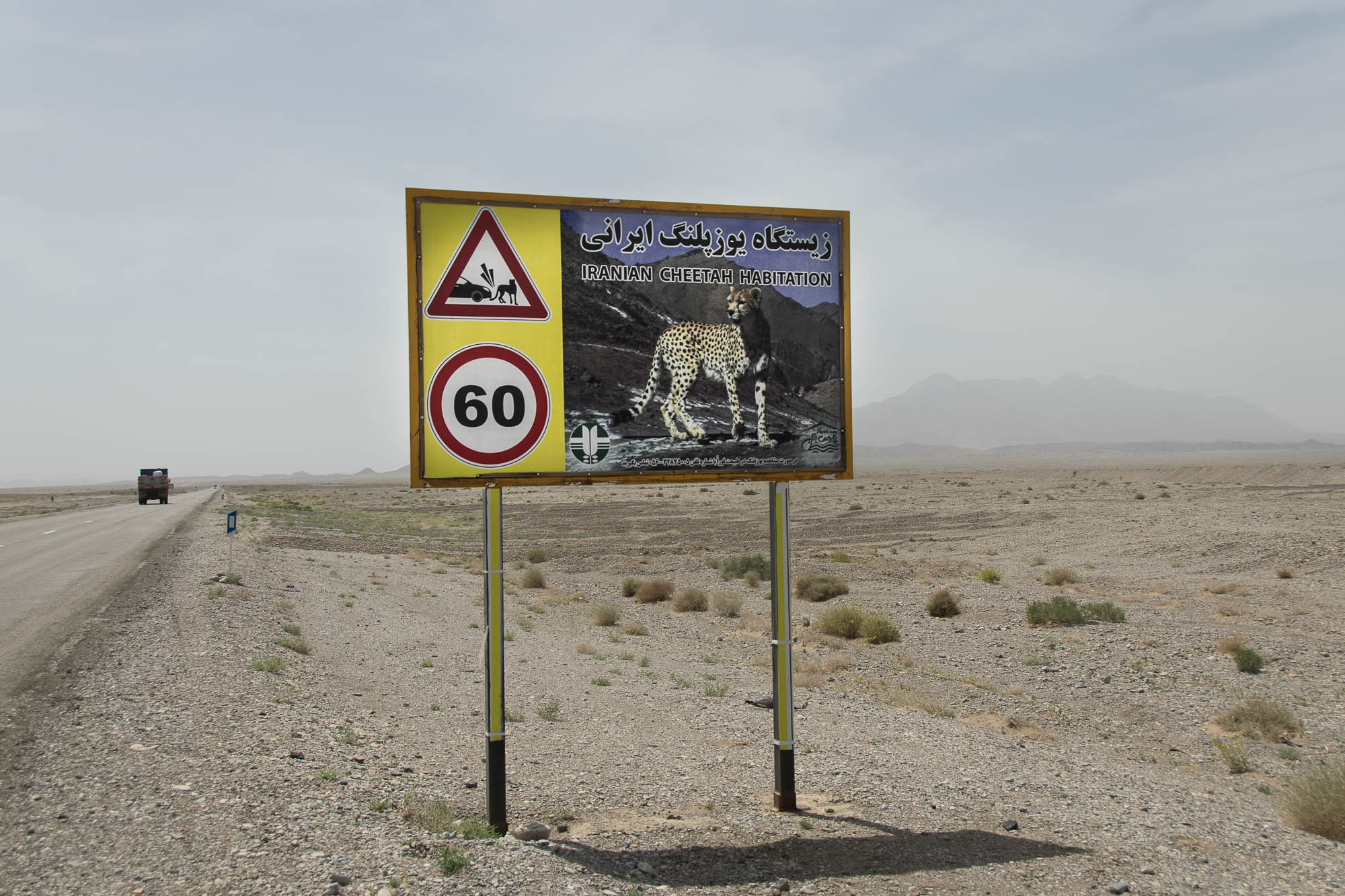 The Loneliness of the Wildlife Ranger “You can really go mad doing this job.”