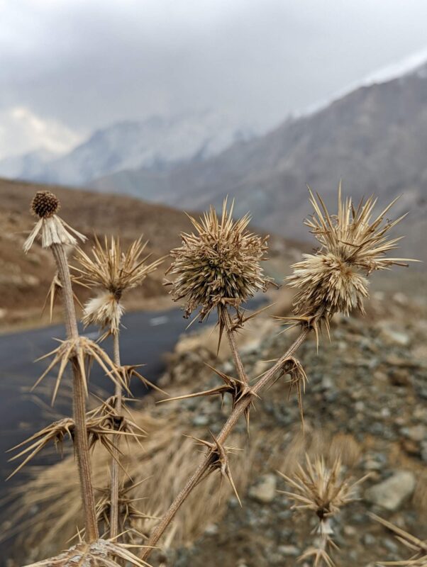 Day 1 of trip tehran to mashhad, through the caspian sea region escapefromtehran com 008