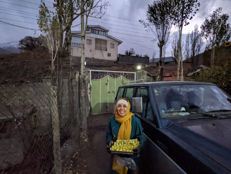 Saeideh next to the tank, holding basket of figs in the yard of village home for rent in the Lāsem, Dashte Gole-Zard area, a refuge from the madness of Tehran, Iran. Copyright Ali Torkzadeh, EscapefromTehran.com