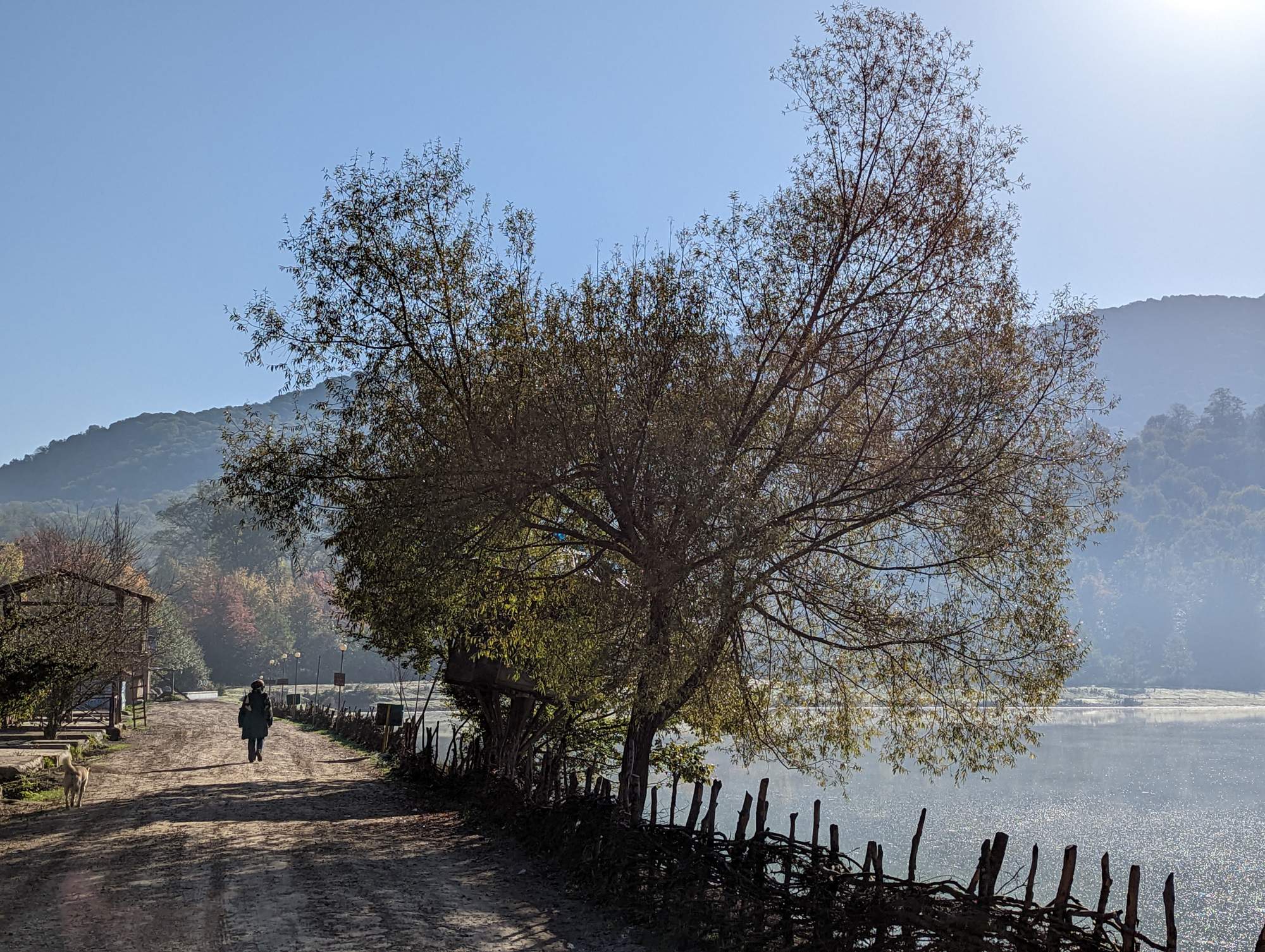alandan or alendan lake deep inside the forest mazandaran iran tourism travel road trip