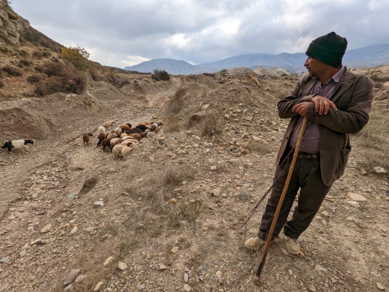 mazandaran shephard seyyed mahmud abolghasemi iran from village of ghaleh sar