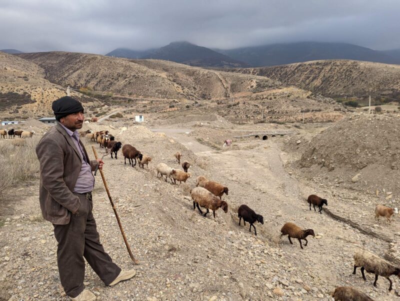 mazandaran shephard seyyed mahmud abolghasemi iran from village of ghaleh sar